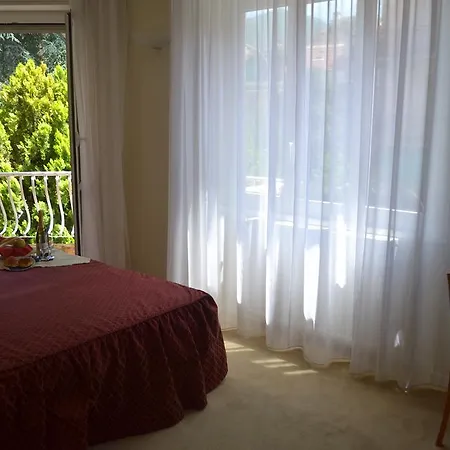 Il Gatto فندق 3*