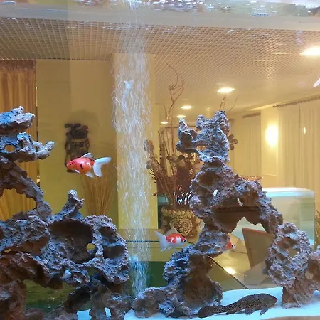 فندق Il Gatto 3*