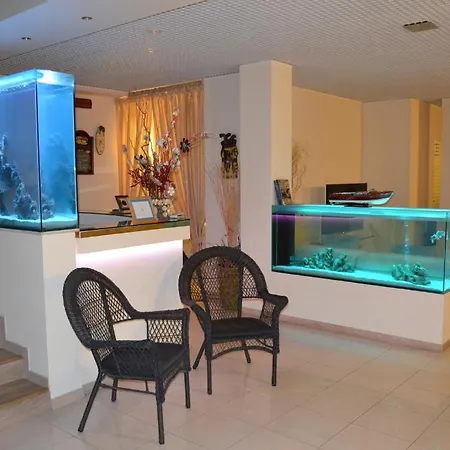 Il Gatto فندق 3*