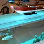 埃尔加托酒店 酒店