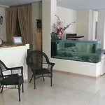 埃尔加托酒店 酒店 拉帕洛
