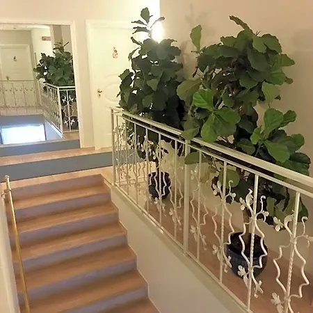 Il Gatto Hotel Rapallo