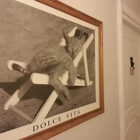 호텔 Il Gatto 라팔로
