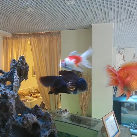 Il Gatto Hotel 3*
